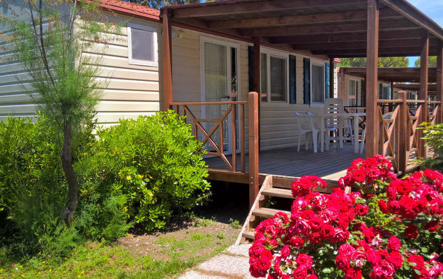 Cecina Mare - Photo 3