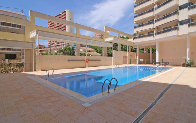 Plaza Mayor - Photo 18