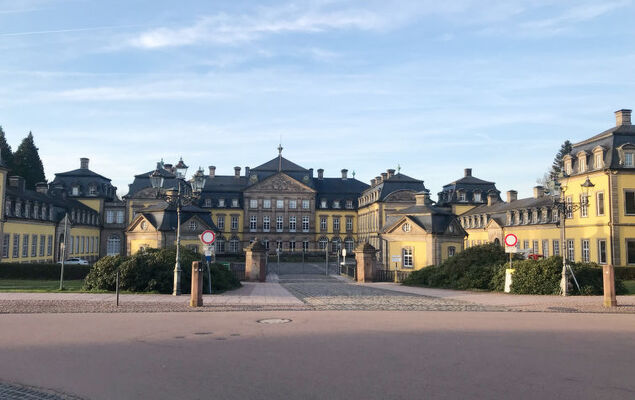 Waldrauschen - Photo 33