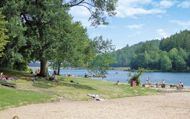 Waldrauschen - Photo 34