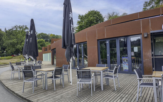 Waldrauschen - Photo 37