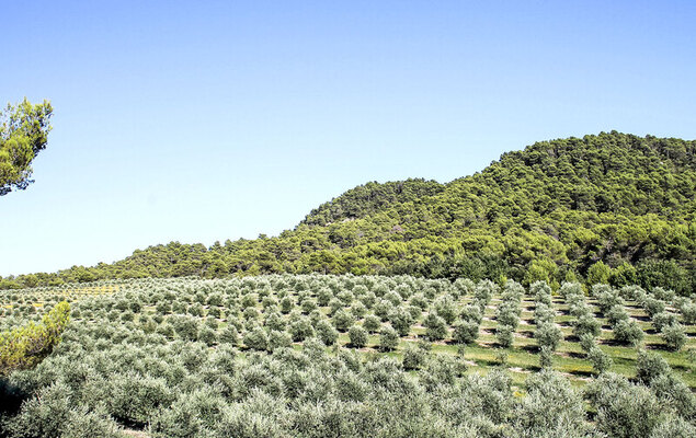 Domaine de Piegros - Photo 51