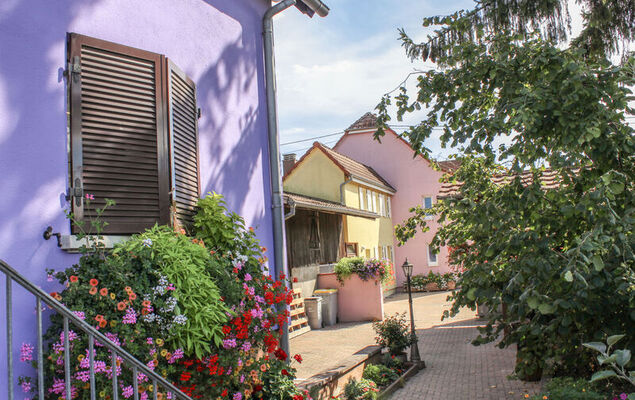 Résidence jaune et rose - Photo 17